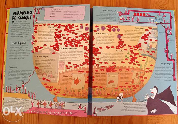 Ciência, Natureza e e Experiências