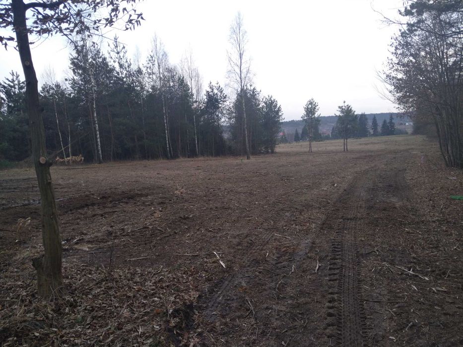 Mulczowanie Mulczer leśny Wgłębny Karczowanie Czyszczenie Wycinka