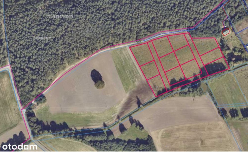 Działka budowlana pod lasem - Zakrzyn Kolonia