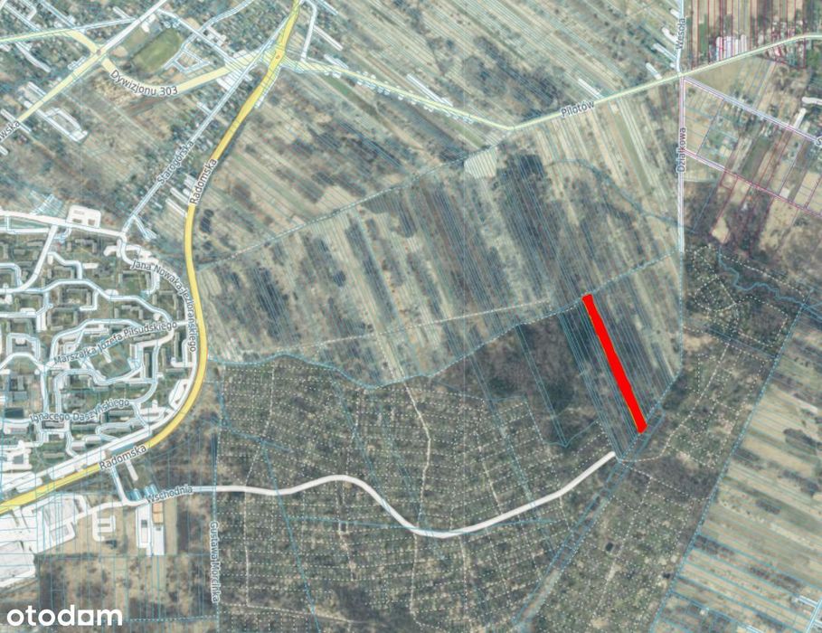 Sprzedam działkę, Dąbrowa gmina Masłów , 11164 m, 1 562 960 zł