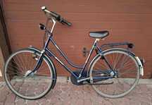 Rower damka Gazelle Gelria