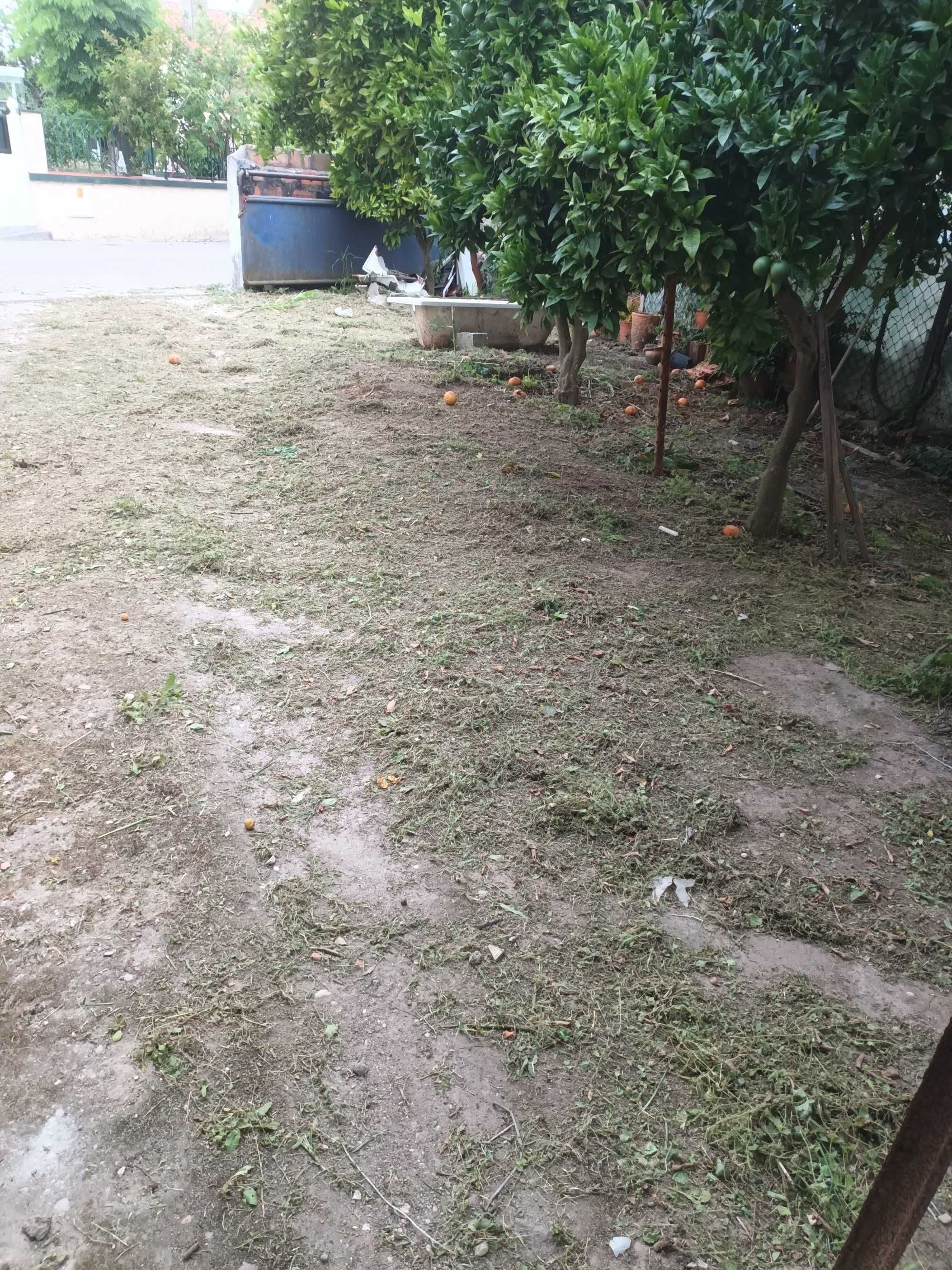 Limpeza de terrenos e jardinagem