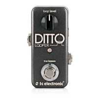 TC Electronic Ditto Looper como novo, a 100% estética e funcionalmente
