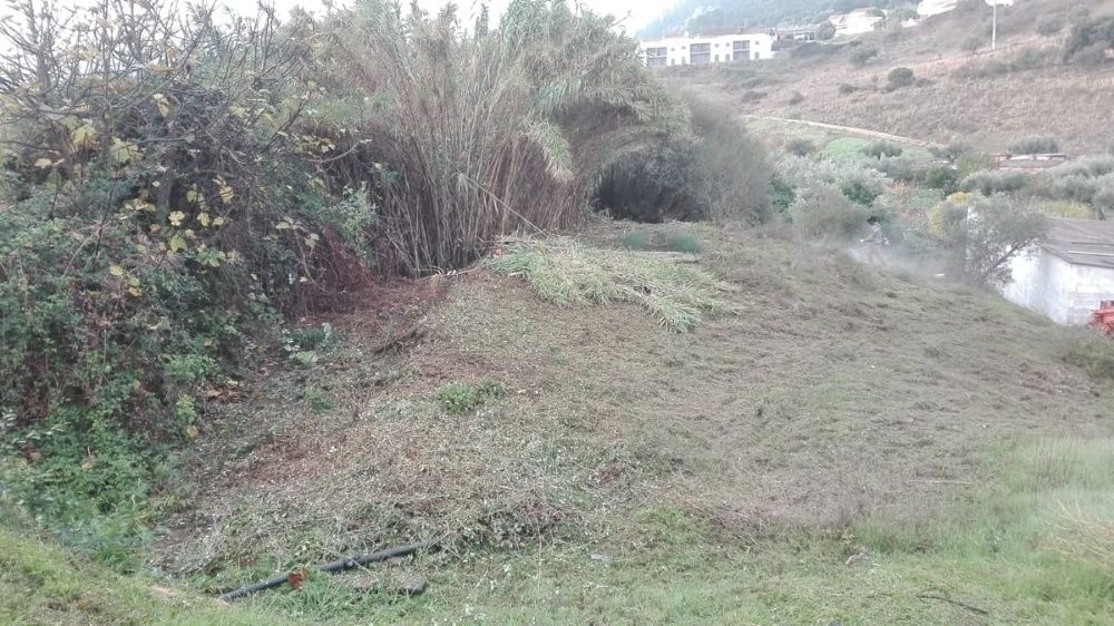 Limpeza de terrenos / lavouras /Corte, Poda e Abate de Árvores.