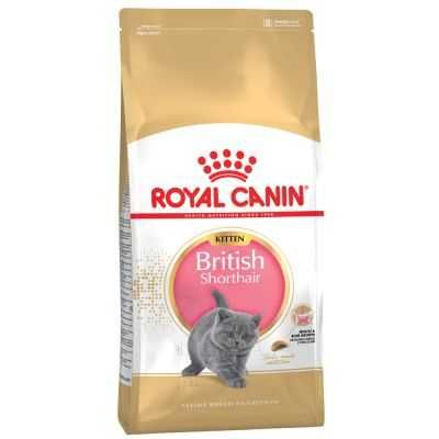 Karma Royal Canin British Shorthair Kitten 2kg karmy dla kotow