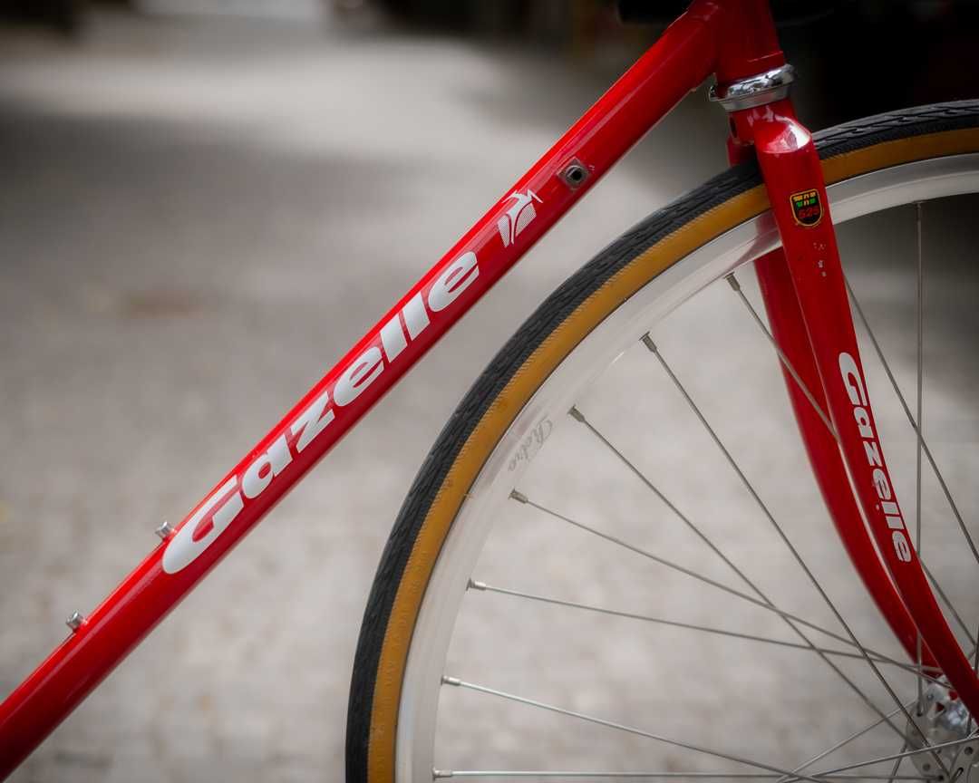 Bicicleta Single Speed / Estrada Gazelle Formula Race