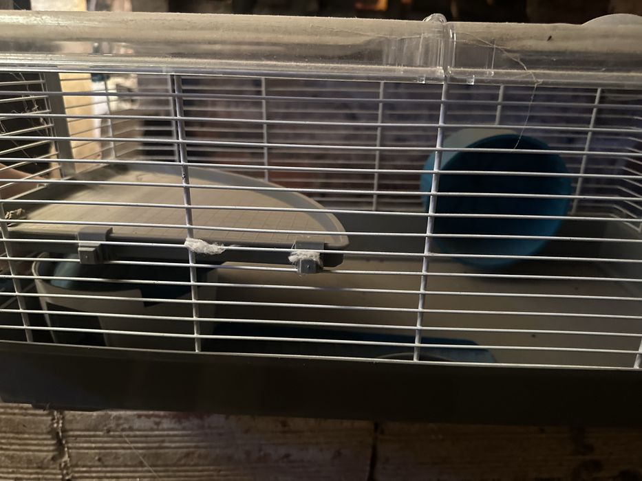 Duas gaiolas para ratos usadas