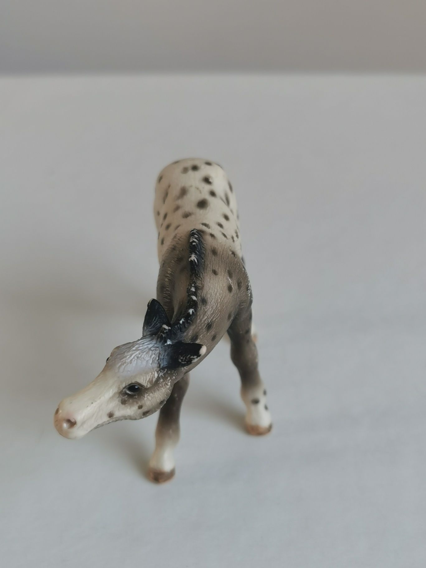 Konik źrebię Knabstrupper 13619 figurka Schleich