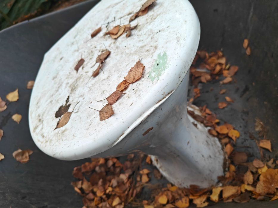 oddam za darmo kompakt wc