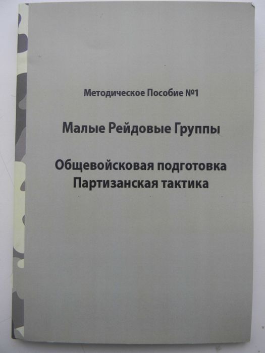 Малі рейдові групи