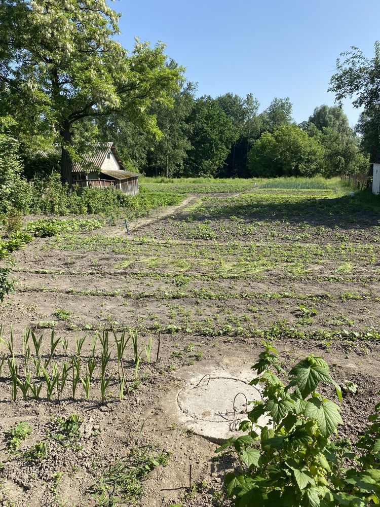 Продаж будинку в затишному місці,70 км від м.Києва(с.Корніївка)