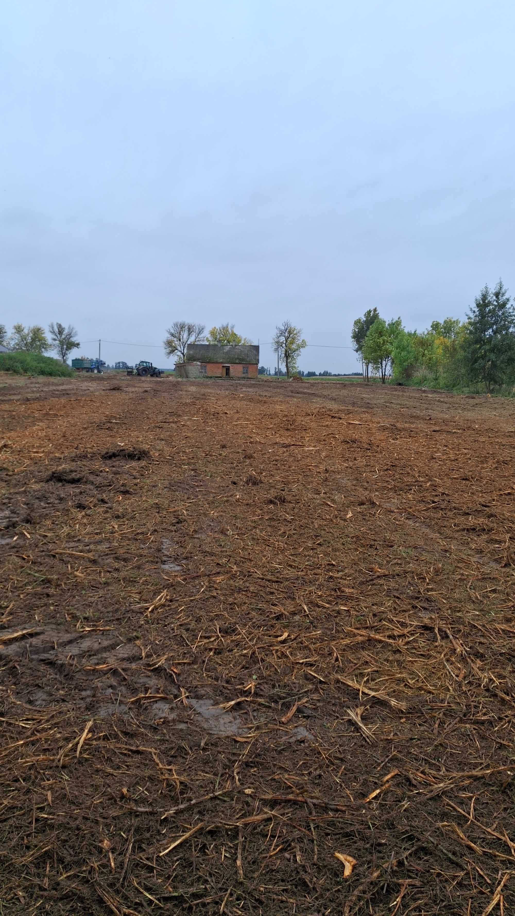 Wycinka drzew krzewów Mulczowanie Karczowanie Frezowanie