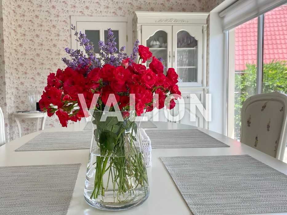 Продаж будинку 866 м2 з бассейном у центрі с.Шаян, Закарпатська обл