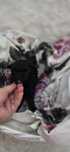 Maltipoo xss badania genetyczne