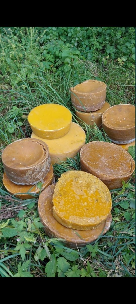 Вощина прополісована
