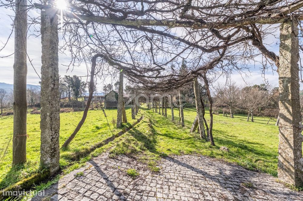 Quinta com 74.400 m2 em Penalonga, Ribeira de Pena - Vila Real