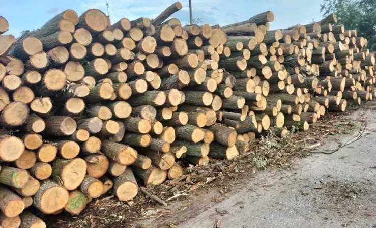 Drewno opałowe sosna, olcha, brzoza, dąb Góra Kalwaria Baniocha Chynów
