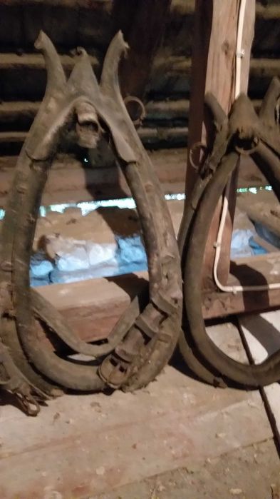 Homonto dla konia drewniane