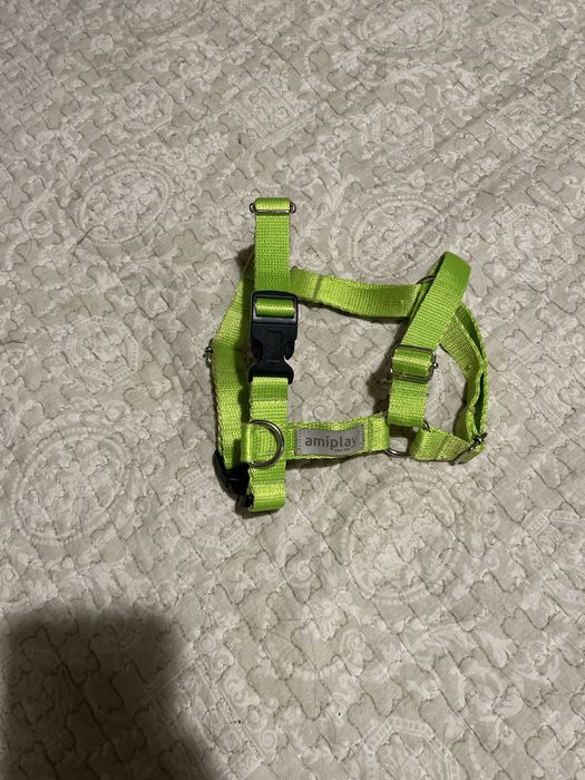 Амуніція для собак