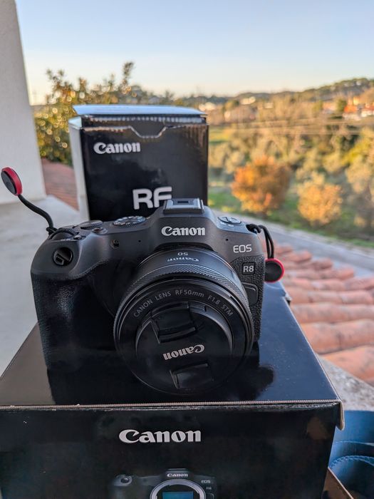 Canon R8 + RF 50mm 1.8STM