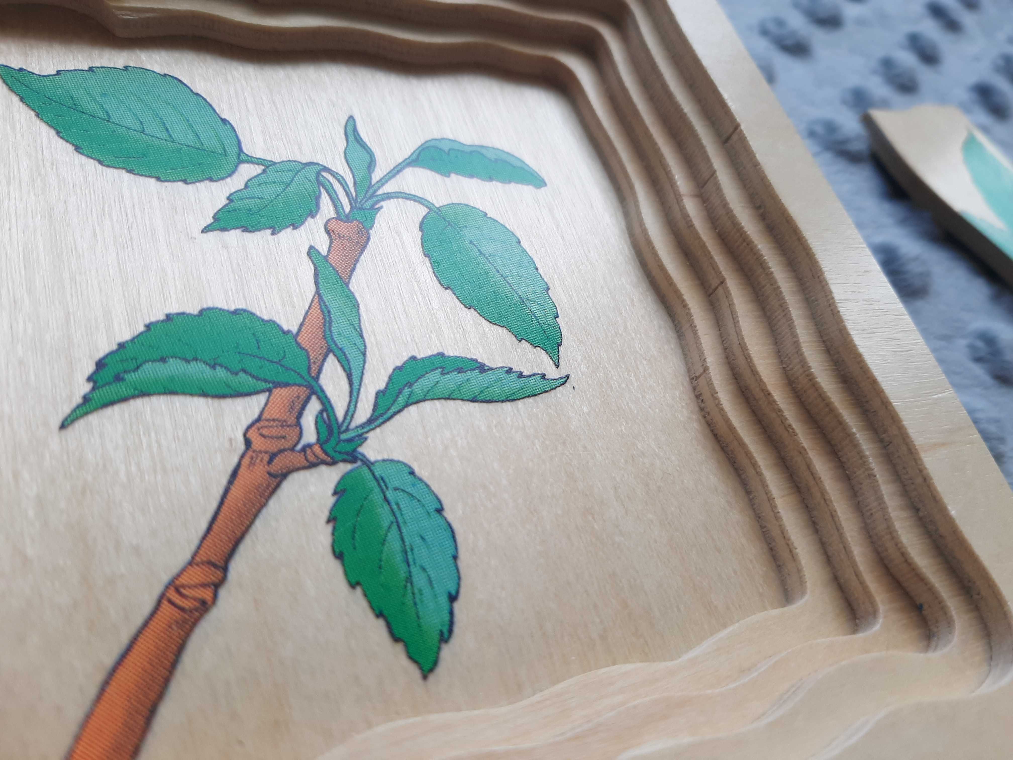 BELEDUC Puzzle Drewniane dla Dzieci Jak Rośnie Jabłko