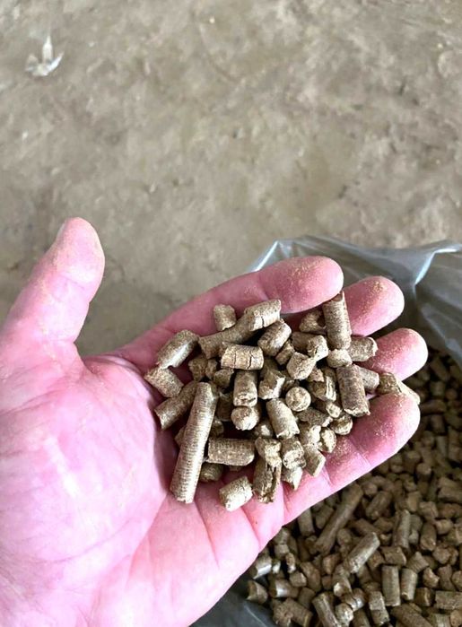 Продажа вугілля брикет пеллет з виробника