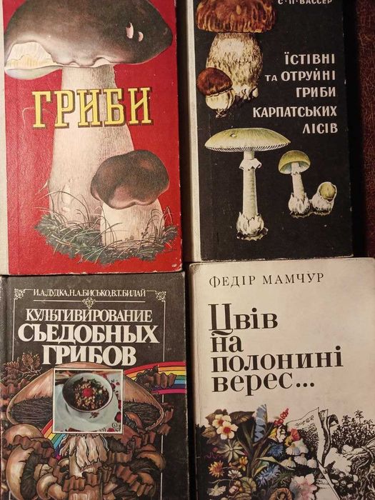 Гриби Карпат, Вирощування грибів, Цвів на Полонині Верес Легенди