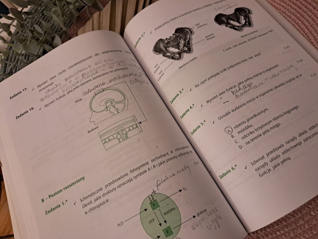 Biologia matura testy liceum