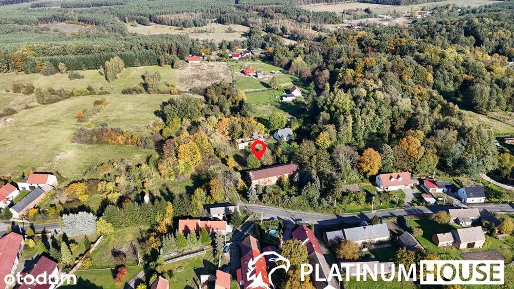 Działka 2000 m² – cisza i zieleń Buchałowa; WZ