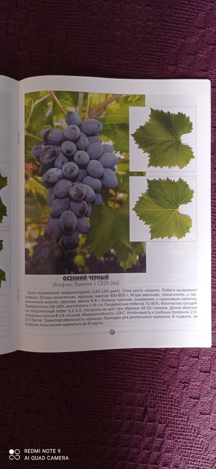 Книга для ведения виноградарства
