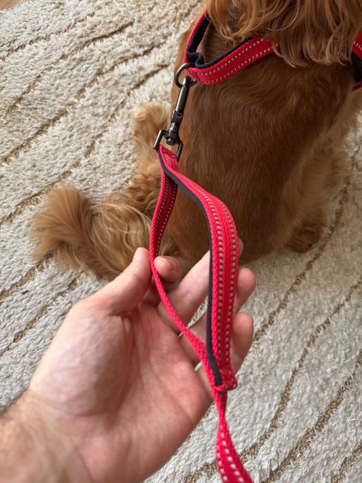 (NOVA) Trela KONG vermelha