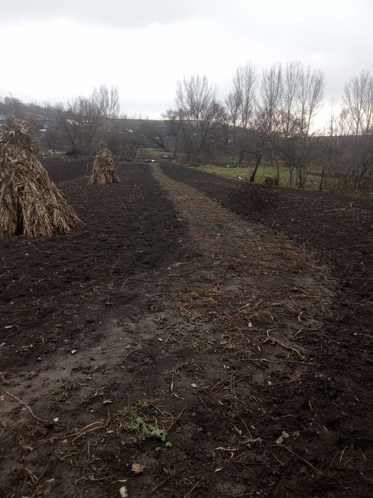 Продаж житлового будинку з господарськими приміщеннями .с Ланівці