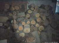 Дрова-колоды в Фастове (разные породы дерева) -1200 грн/м³