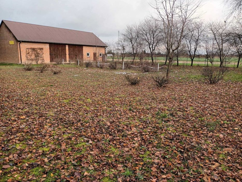 Bełżyce Działka budowlana z 17,3 ar z budynkiem