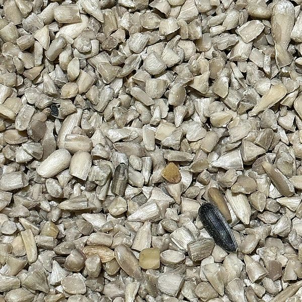 5kg Słonecznik łuskany 99% Karma zimowa dla ptaków Champi