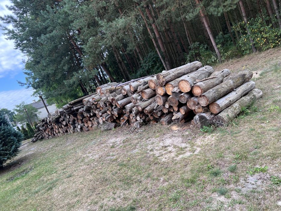 Drzewo Opałowe Sosna Dąb olcha mix