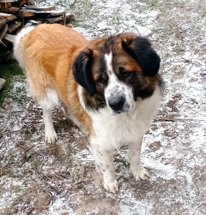 Запрошуємо на в'язку