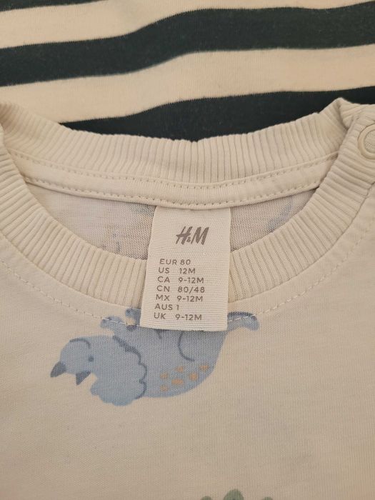 Koszulki z dlugim rekawem H&M r80 w dinozaury, w paski