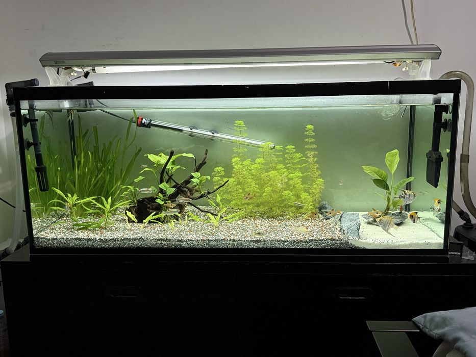 Aquario 120x50x50
