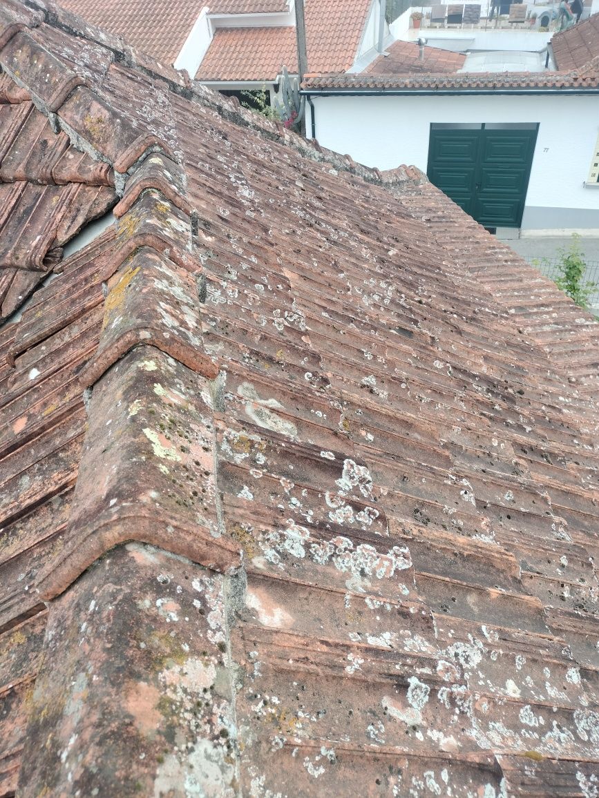 Pintor construção civil