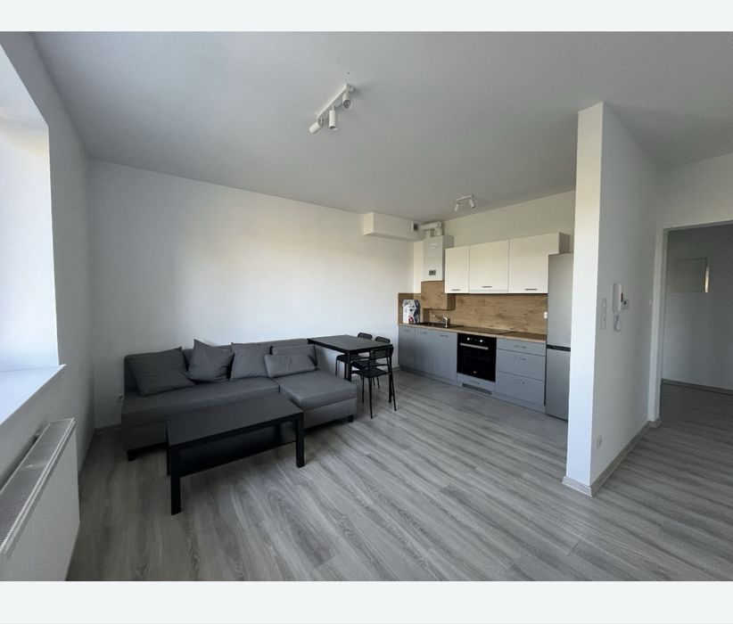 Mieszkanie do wynajęcia-Trzciana