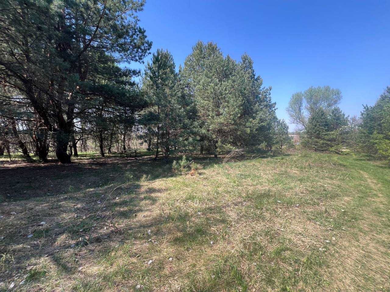 Продаж ділянки 39,1 соток (ОСГ). Серед сосен. Поряд озеро. ID:701