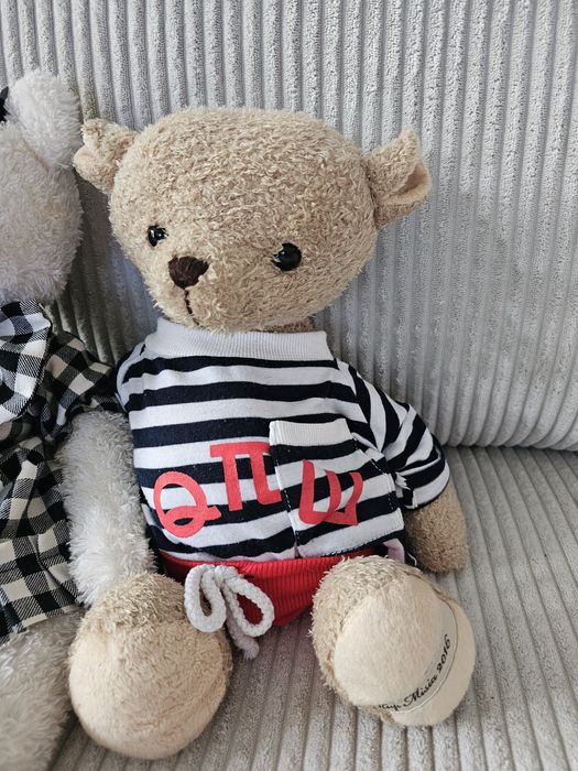 Misie tvn 4 duże, 3 małe.