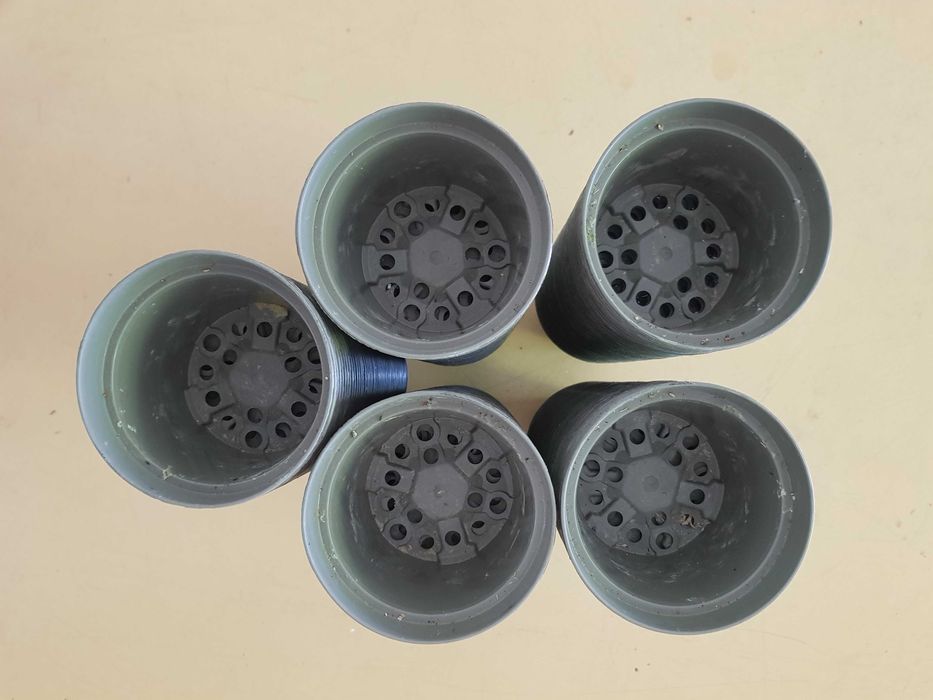 250 Vasos  de Plastico