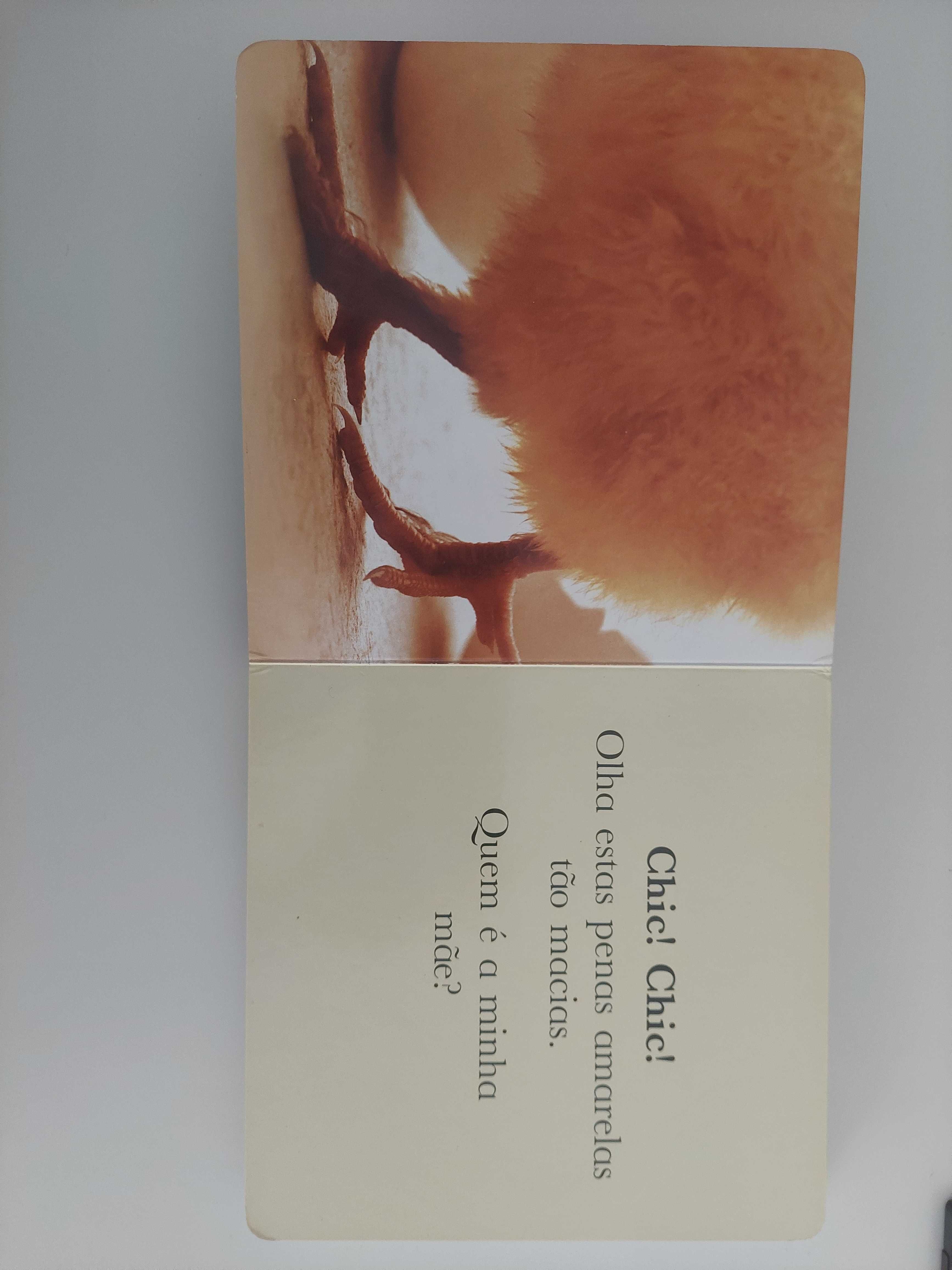 Livros Filhotes de animais