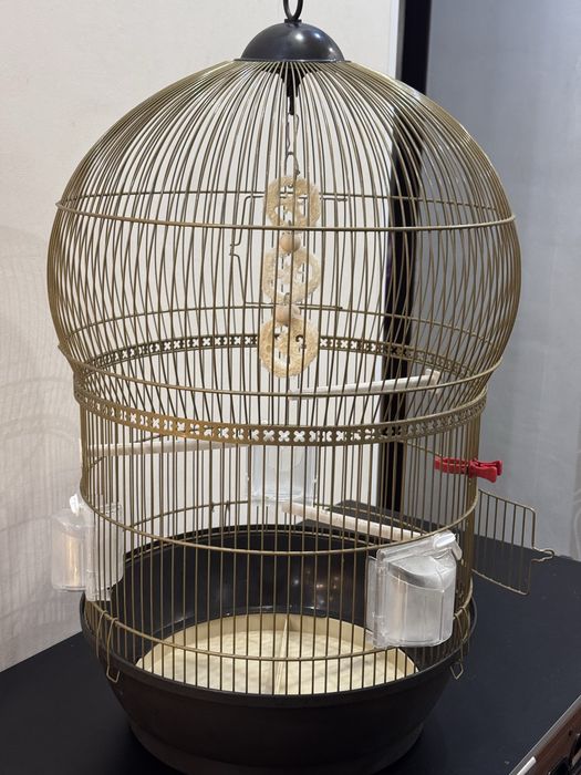 Клітка для папуги