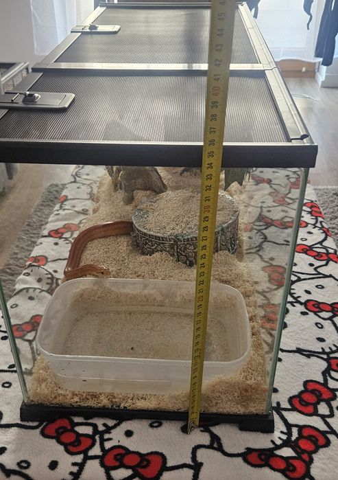 Terrarium 75x30x35cm + dodatki!