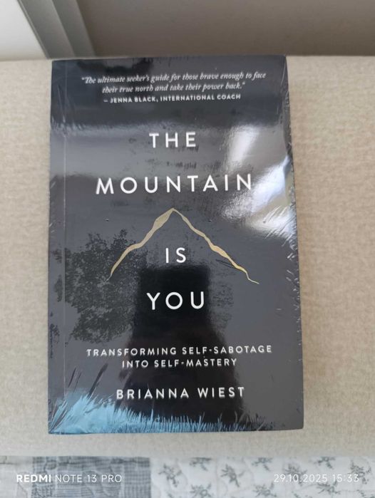 The Mountain Is You- Brianna Wiest