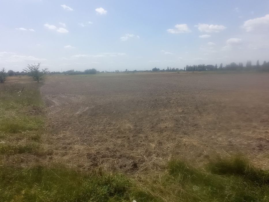 Продам участок под строительство с. Сеньковка