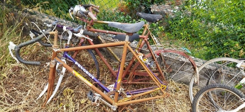 Quadros bicicleta antigos